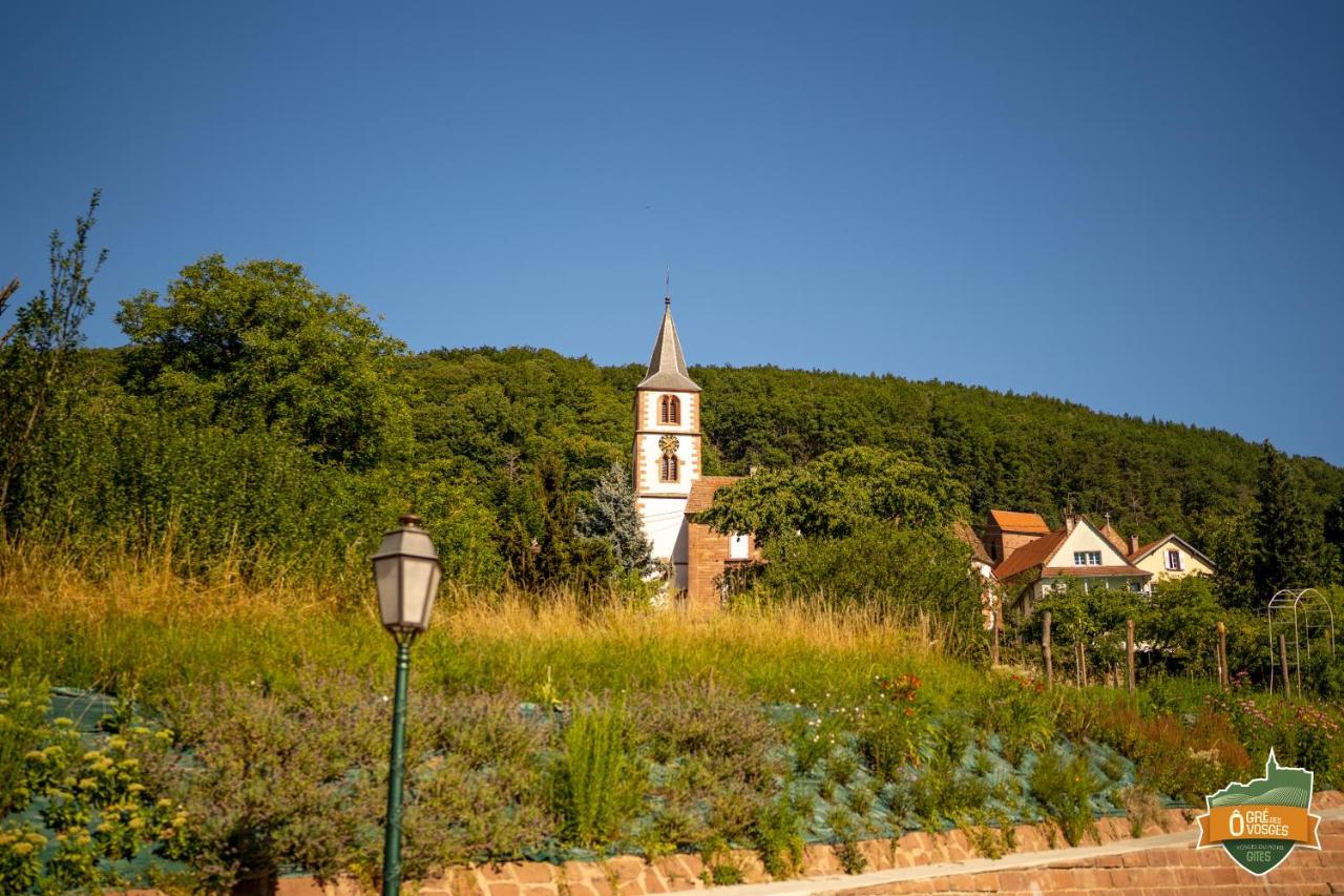 Gîte Ô Gré des Vosges Oberbronn Esterno foto