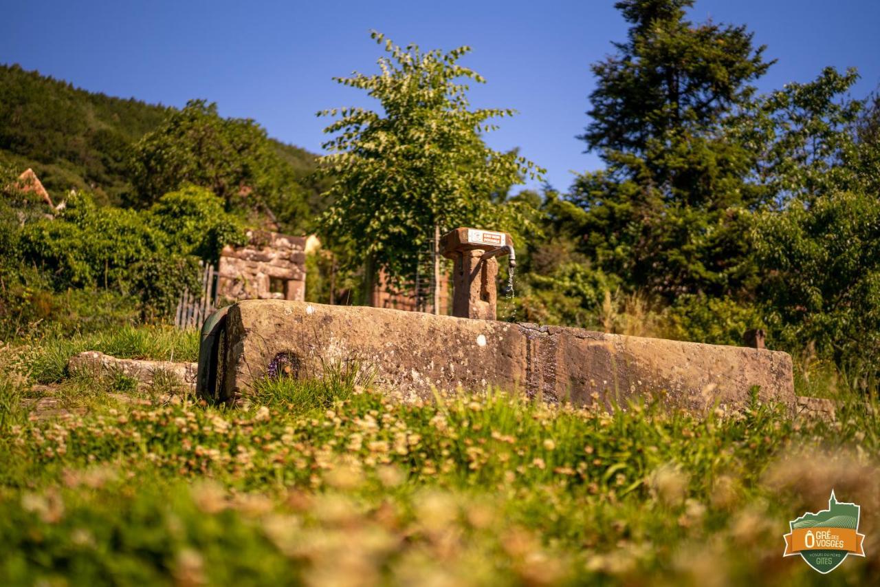 Gîte Ô Gré des Vosges Oberbronn Esterno foto