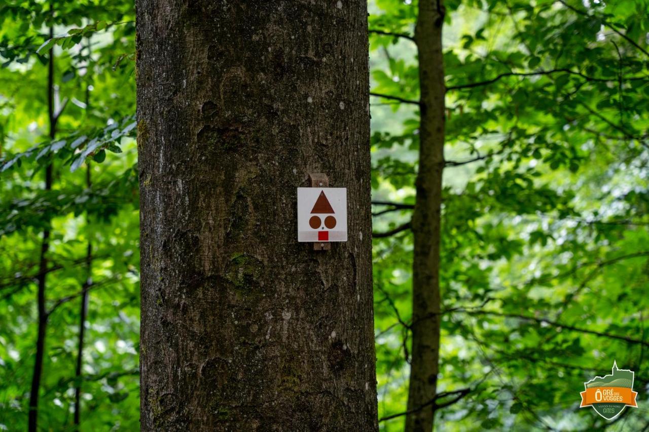 Gîte Ô Gré des Vosges Oberbronn Esterno foto