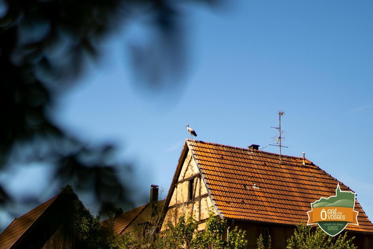 Gîte Ô Gré des Vosges Oberbronn Esterno foto