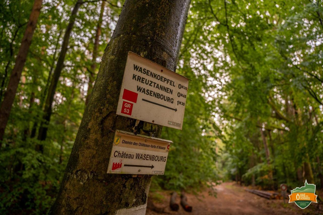 Gîte Ô Gré des Vosges Oberbronn Esterno foto