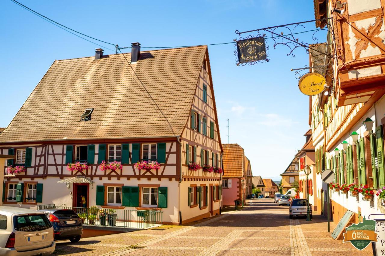 Gîte Ô Gré des Vosges Oberbronn Esterno foto