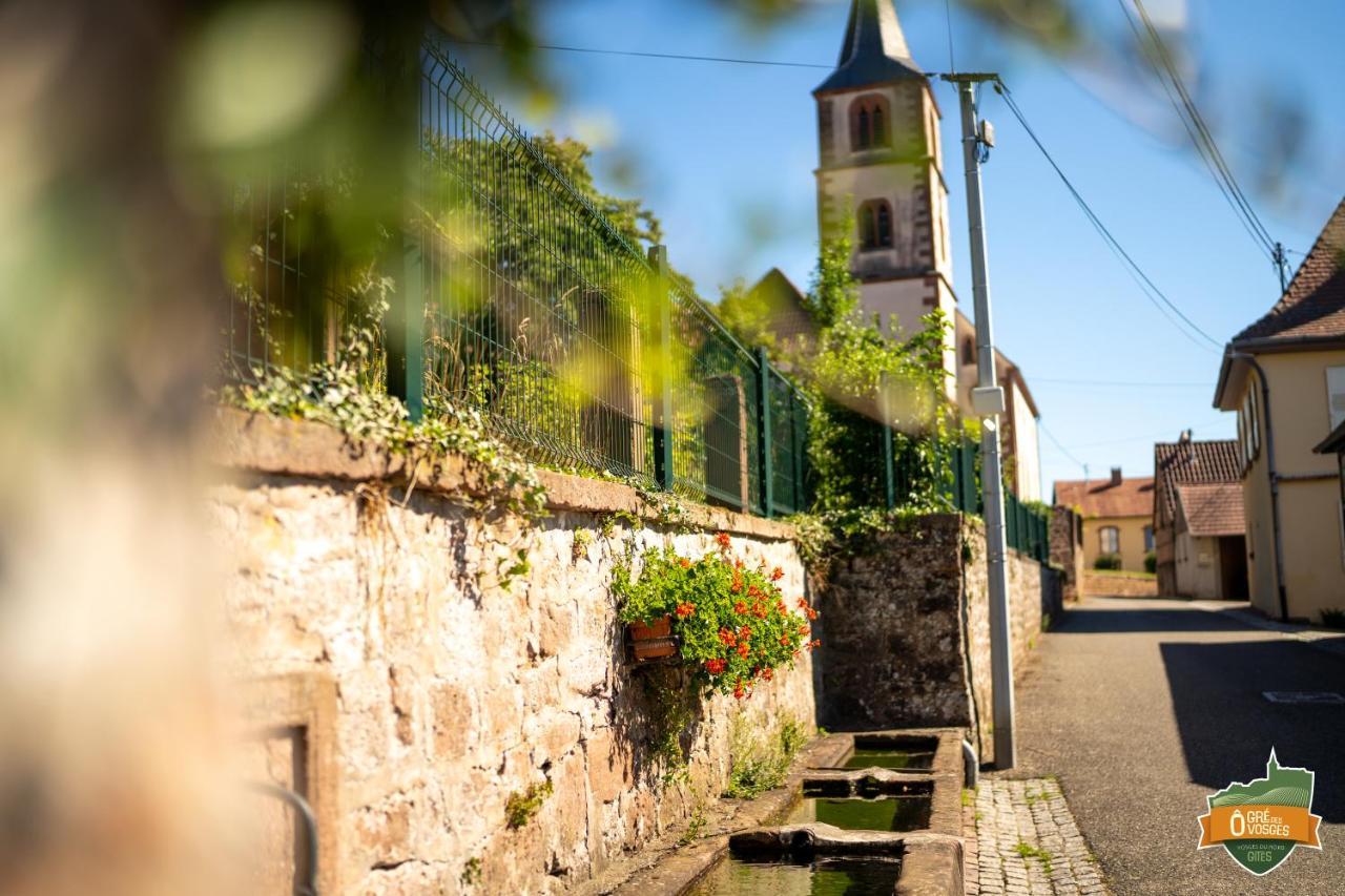 Gîte Ô Gré des Vosges Oberbronn Esterno foto